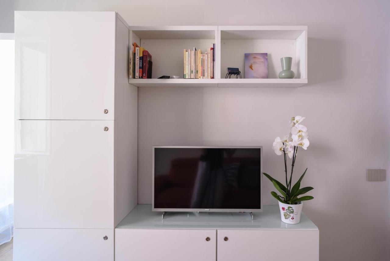 Pisa Art Apartment Eksteriør billede