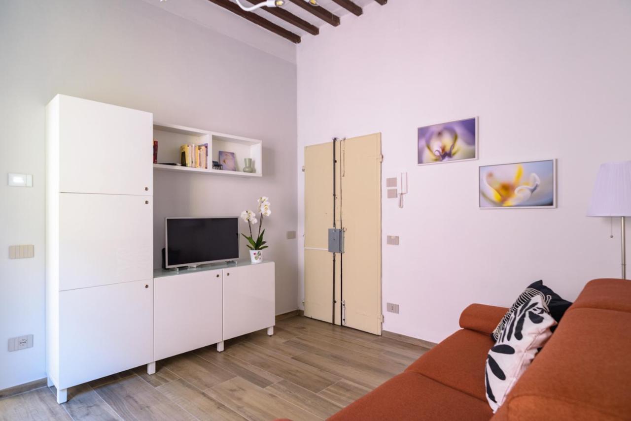 Pisa Art Apartment Eksteriør billede